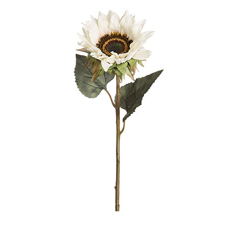 26" Longstem Sunflower-Cream  SKU 30059832