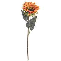 26" Longstem Sunflower-Orange   SKU 30059834