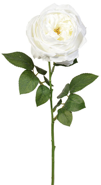 21” Premium English Rose Stem-White  SKU PWR0125WH