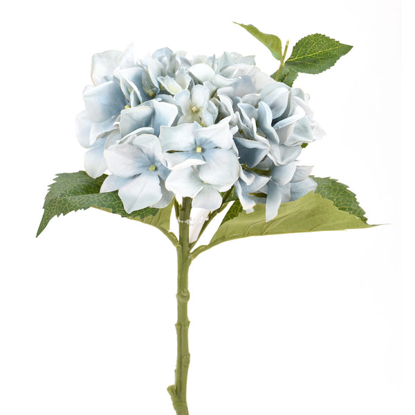 15" Fresh Cut Hydrangea Stem- Blue  SKU 265592