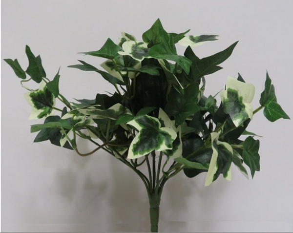 9" English Ivy Bush-Varigated Green   SKU CG305